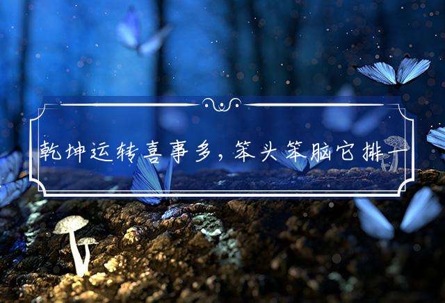 乾坤运转喜事多,笨头笨脑它排一打一生肖，最佳解释落实