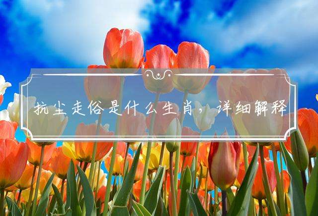 抗尘走俗是什么生肖，详细解释落实