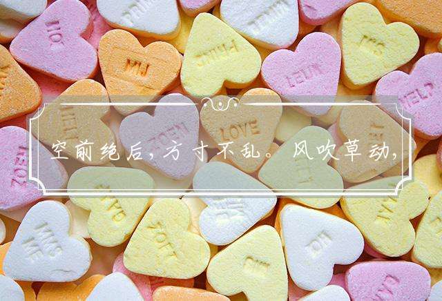 空前绝后,方寸不乱。风吹草动,日月如梭打一生肖，词语详细解释落实