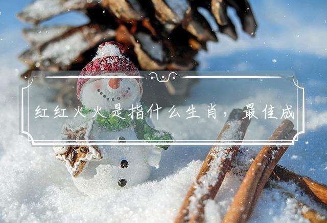 红红火火是指什么生肖，最佳成语解释翻义