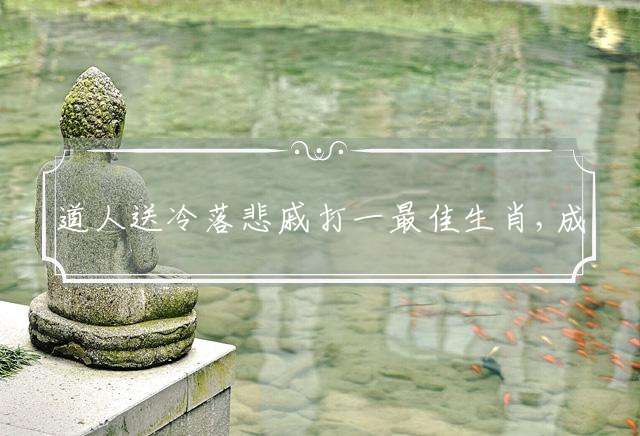 道人送冷落悲戚打一最佳生肖,成语释义赏析解释