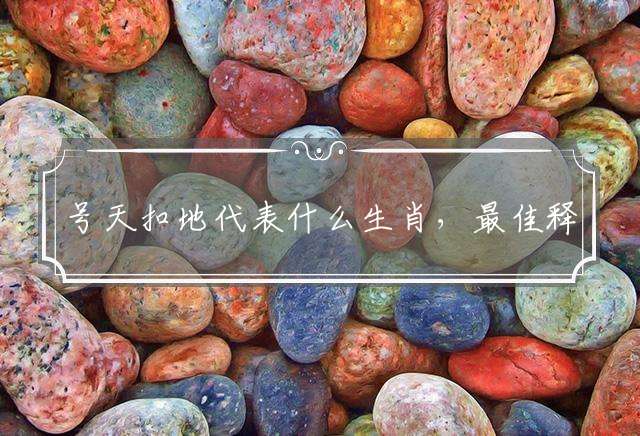 号天扣地代表什么生肖，最佳释义解释