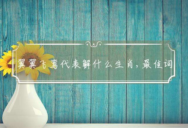 翼翼飞鸾代表解什么生肖,最佳词语解释释义