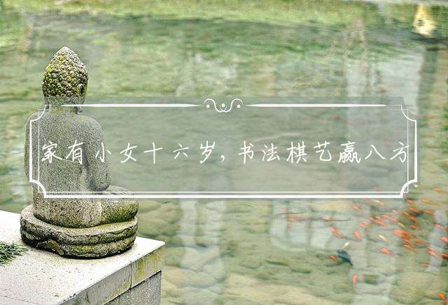 家有小女十六岁,书法棋艺赢八方猜解打一个释义最佳生肖成语解释