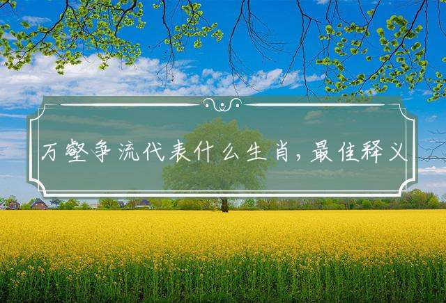 万壑争流代表什么生肖,最佳释义独家解释