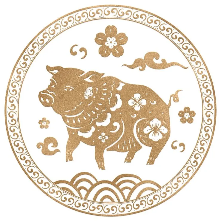 羽扇纶巾是指代表哪个什么最佳生肖, 猜打一释义最佳成语解释!