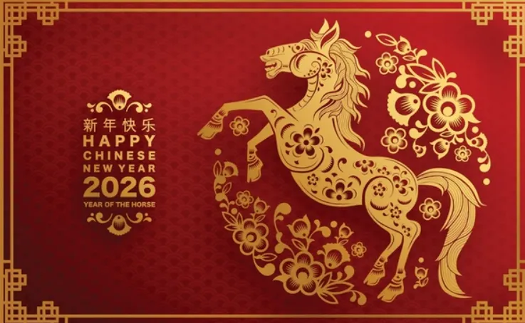 左右开弓打一最佳精准生肖,释义成语精选解释